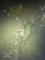 foto de buceo