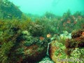 foto de buceo