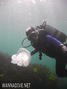 foto de buceo