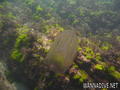 foto de buceo