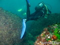 foto de buceo
