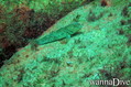 foto de buceo