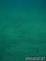 foto de buceo