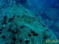 foto de buceo