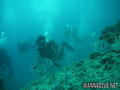 foto de buceo