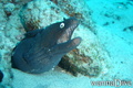 foto de buceo