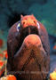 foto de buceo