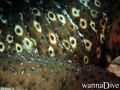 foto de buceo