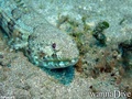 foto de buceo