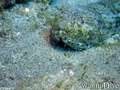 foto de buceo