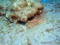 foto de buceo
