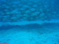 foto de buceo