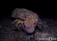 foto de buceo