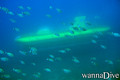 foto de buceo