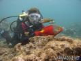 foto de buceo