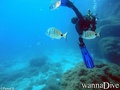 foto de buceo