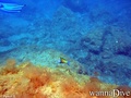 foto de buceo