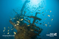 foto de buceo