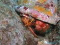 foto de buceo