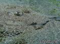 foto de buceo