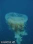 foto de buceo