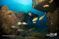 foto de buceo