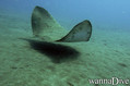 foto de buceo
