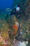 foto de buceo