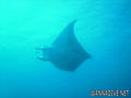 foto de buceo