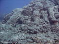 foto de buceo