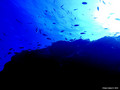 foto de buceo