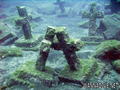 foto de buceo