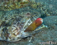 foto de buceo