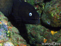 foto de buceo