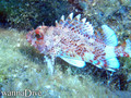 foto de buceo