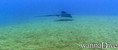 foto de buceo
