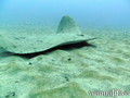 foto de buceo