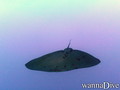 foto de buceo