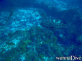 foto de buceo
