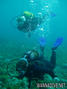 foto de buceo