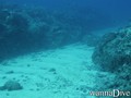 foto de buceo