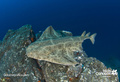 foto de buceo