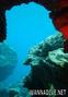 foto de buceo
