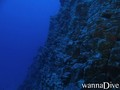 foto de buceo