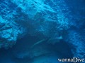 foto de buceo