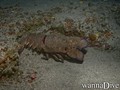 foto de buceo