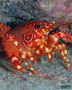 foto de buceo