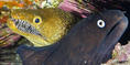 foto de buceo