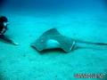 foto de buceo