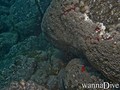 foto de buceo